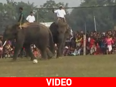 Ποδόσφαιρο… με αστέρια βαρέων βαρών