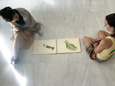 «Ρόζα Λούξεμπουργκ – γράμματα από τη φυλακή»