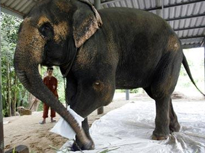 Ελπίδα καλύτερης ζωής…για την Motola