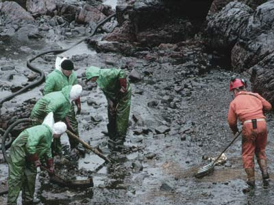 Οικολογική καταστροφή στη Νότια Γαλλία