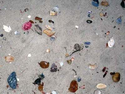 Πολύχρωμα κοχύλια σε παραλίες της Ροδόπης