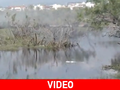 «Μάχη» κατά των κουνουπιών στον Έβρο