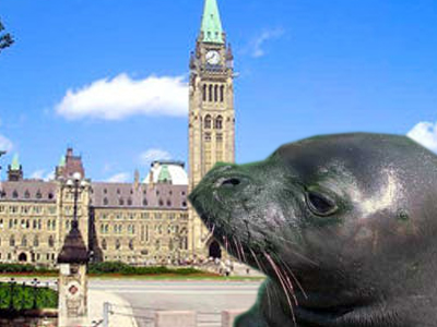 «Πολιτικό» γεύμα με κρέας φώκιας… για διαμαρτυρία