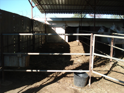 Τι άλλο θα κλέψουν…