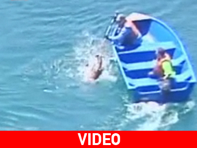 Ελάφι παγιδεύτηκε σε φράγμα