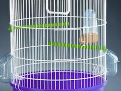 Έκλεψαν ακόμα και τα πουλιά από τα κλουβιά