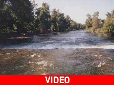 Διαμαρτυρία για τους θανάτους λαθρομεταναστών στον Έβρο