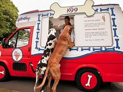 Παγωτά… για τετράποδα