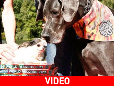 Με διαφορά… ύψους