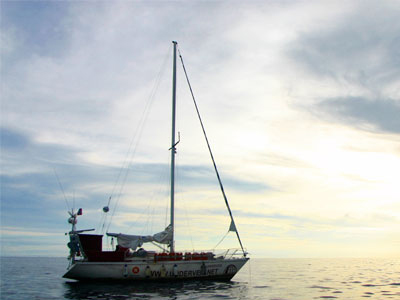 Eντοπίστηκαν στον Ειρηνικό μετά από δύο μήνες…