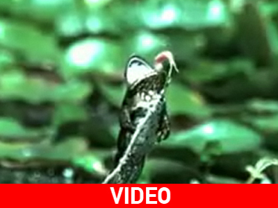 Το γεύμα… έκανε φτερά