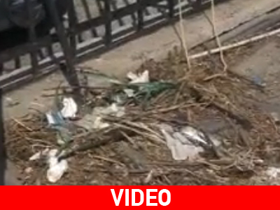 Εικόνες ντροπής στο λιμάνι Κολώνας