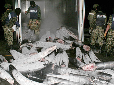 Κατάσχεση φορτίου-“μαμούθ” κοκαΐνης στον Ατλαντικό