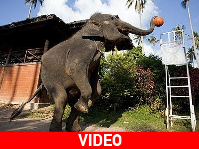 Μετά το ποδόσφαιρο… το μπάσκετ