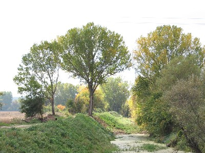 Άσκηση «επί χάρτου» για τις πλημμύρες στον Έβρο