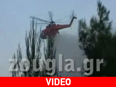 Υπό μερικό έλεγχο η φωτιά στην Πολιτεία