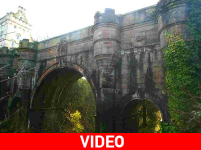 Έχουν οι σκύλοι τάσεις αυτοκτονίας;