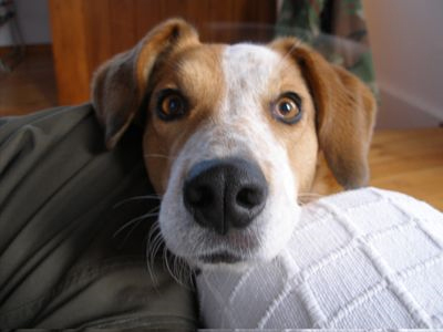 ΤΑ ΝΕΑ ΤΟΥ ΜΠΙ-ΚΟΥ-ΤΙ