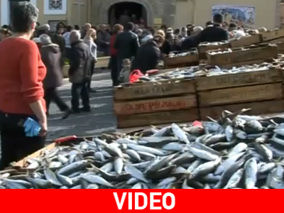 Μοίρασαν 4 τόνους ψάρια στους πιστούς