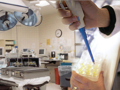 Εξαρθρώθηκε κύκλωμα εμπορίας ανθρώπων και ανθρώπινων ωαρίων