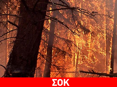 Ανακοίνωση-“φωτιά” από τη WWF