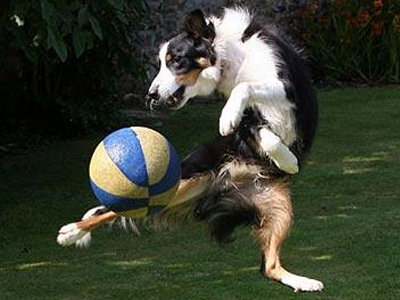 Για την Εθνική Αγγλίας…ο Flip