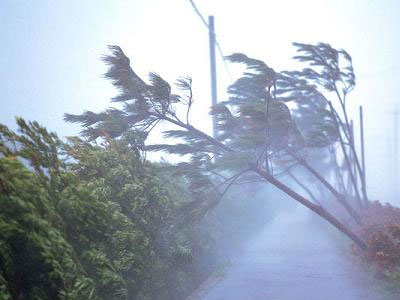 Δύο νεκροί από την τροπική καταιγίδα Rick