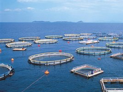 Πρόστιμα σε εταιρείες ιχθυοκαλλιεργειών