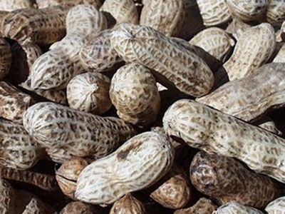 Απέσυραν φορτία με βερίκοκα και φιστίκια