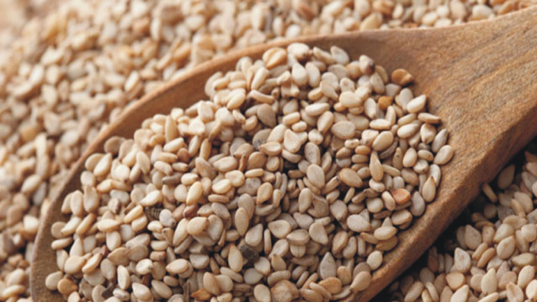 Σουσάμι: ο πολύτιμος σπόρος που αποτελεί σύγχρονο φάρμακο!