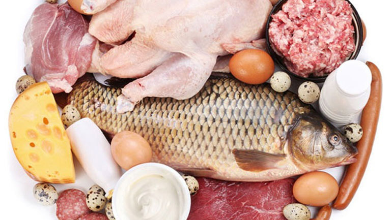 Τι ρόλο παίζουν οι διαφορετικές πηγές πρωτεΐνης στην μυική ανάπτυξη;