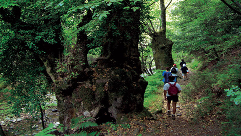 Εξόρμηση στο φαράγγι του Δημοσάρη