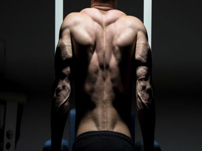 Το σώμα μας, η τελειότερη μηχανή