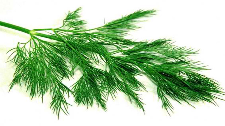 Άνηθο για ένα επίπεδο στομάχι