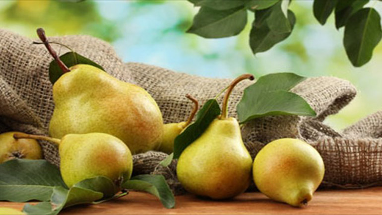 Αχλάδια: ενεργοποιούν τον οργανισμό