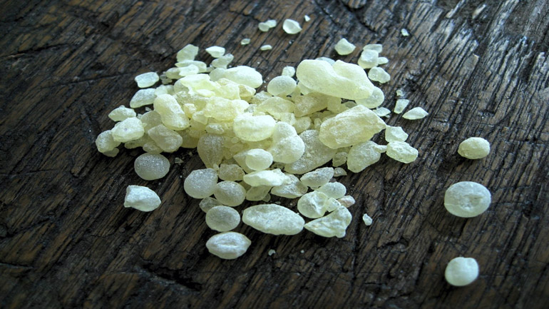 Μαστίχα Χίου, ένα φάρμακο της φύσης