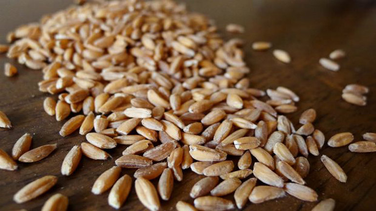 Υγιεινές επιλογές σπόρων, εναλλακτικές του κλασικού σιταριού