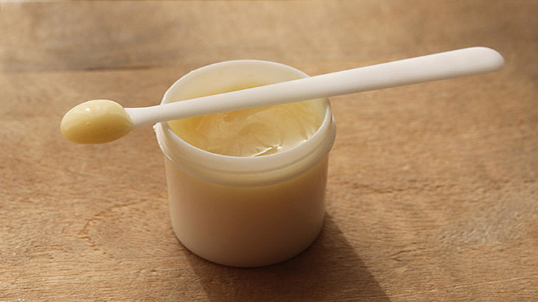 Οι ιδιότητες του βασιλικού πολτού