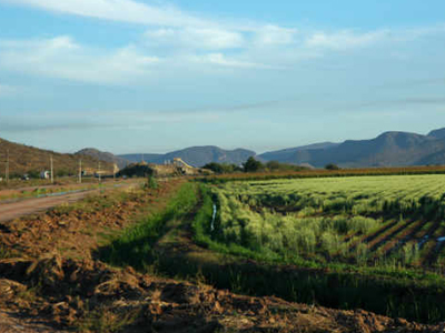 Ο στάβλος που γίνεται λαχανόκηπος για άπορους