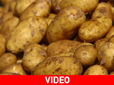 Μπάχαλο με το μοίρασμα της πατάτας στο ΑΠΘ