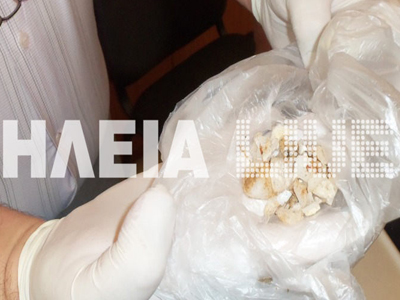 Τοξικές φόλες – βόμβες με υδροκυάνιο στην Ηλεία