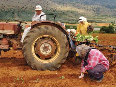 Στη δημοσιότητα οι πίνακες για τη φορολογία των αγροτών
