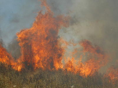 Φωτιά στα Άσπρα Σπίτια Βοιωτίας