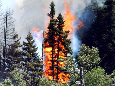 Πυρκαγιές σε Χανιά και Ευρυτανία