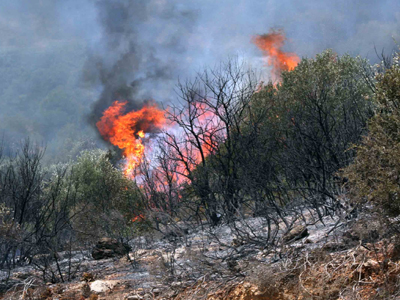 Υπό μερικό έλεγχο φωτιά στην Κέρκυρα