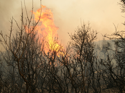 Φωτιές σε Κύθνο – Μεσσήνη – Αταλάντη