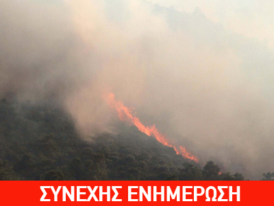 Υπό μερικό έλεγχο οι πυρκαγιές σε Βοιωτία και Φθιώτιδα