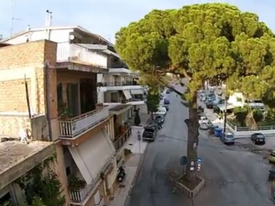 Κάτοικοι θα αλυσοδεθούν σε δέντρο για να μην το κόψει ο Δήμος Πάτρας