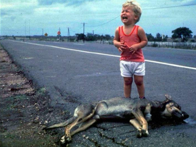 Νέες εντολές της ΕΛ.ΑΣ για την προστασία των ζώων