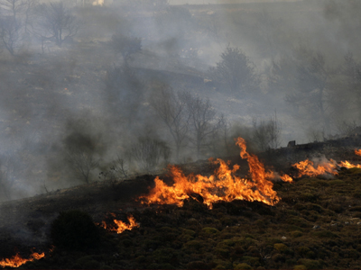 Δίωξη στη ΔΕΗ για τη φωτιά